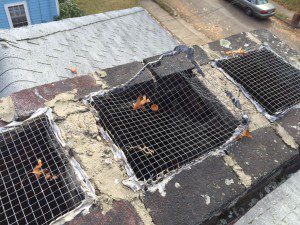 chimney flue screens